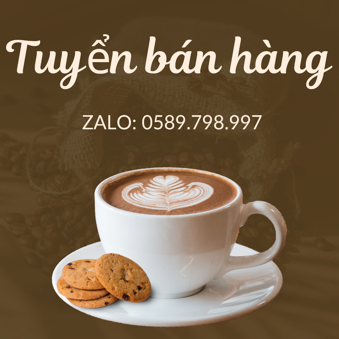 lĩnh vực hoạt động